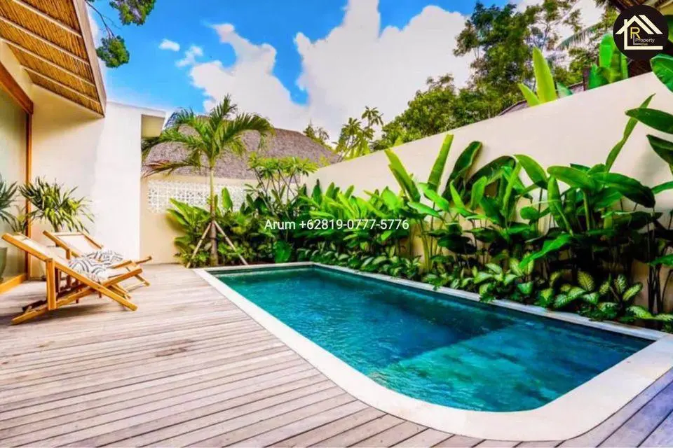 2 Bedrooms Villa is AVAILABLE — image 2