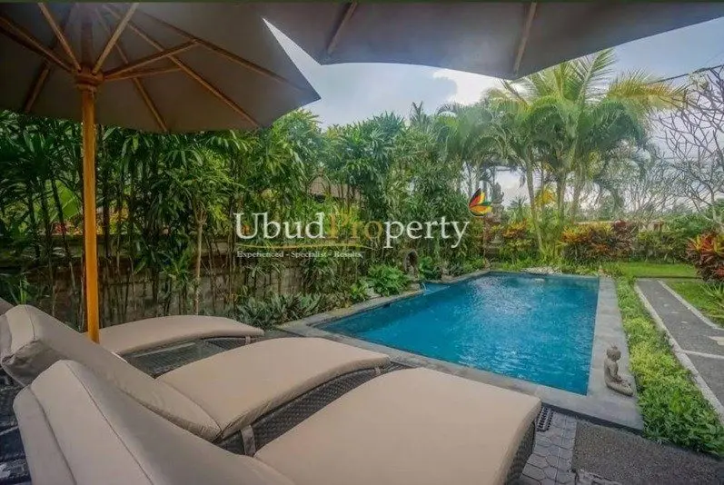 Ubud's vibrant culture — image 2