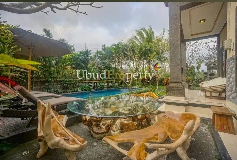 Ubud's vibrant culture — image 3