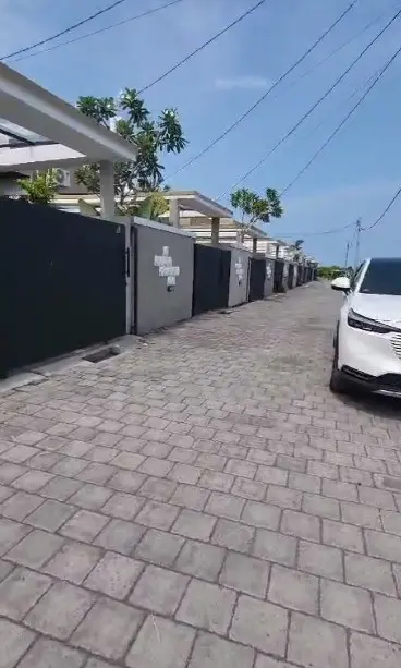 Willy's House