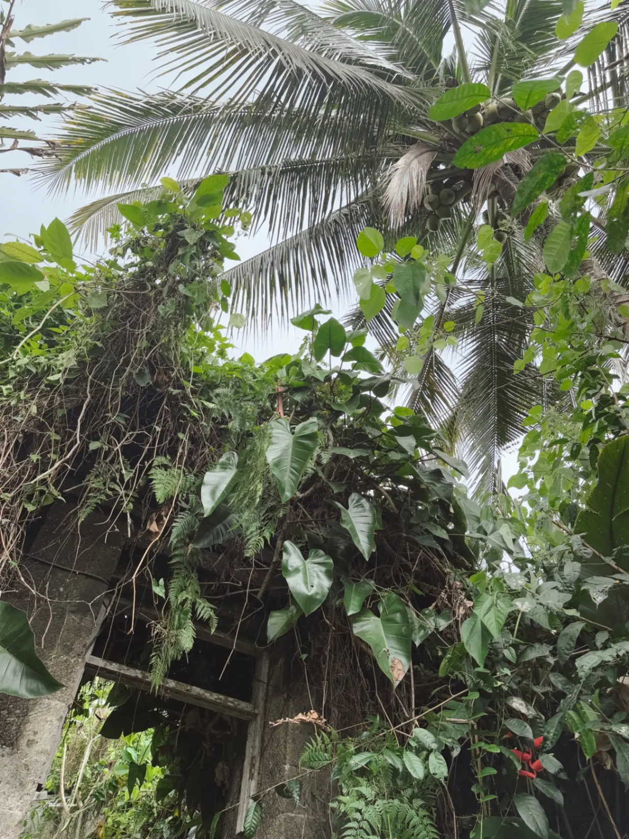 Ubud Green Villas — image 4