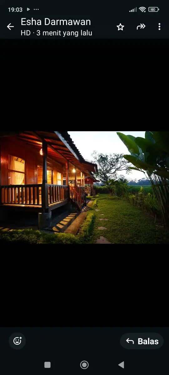 Umadesa ubud — image 2