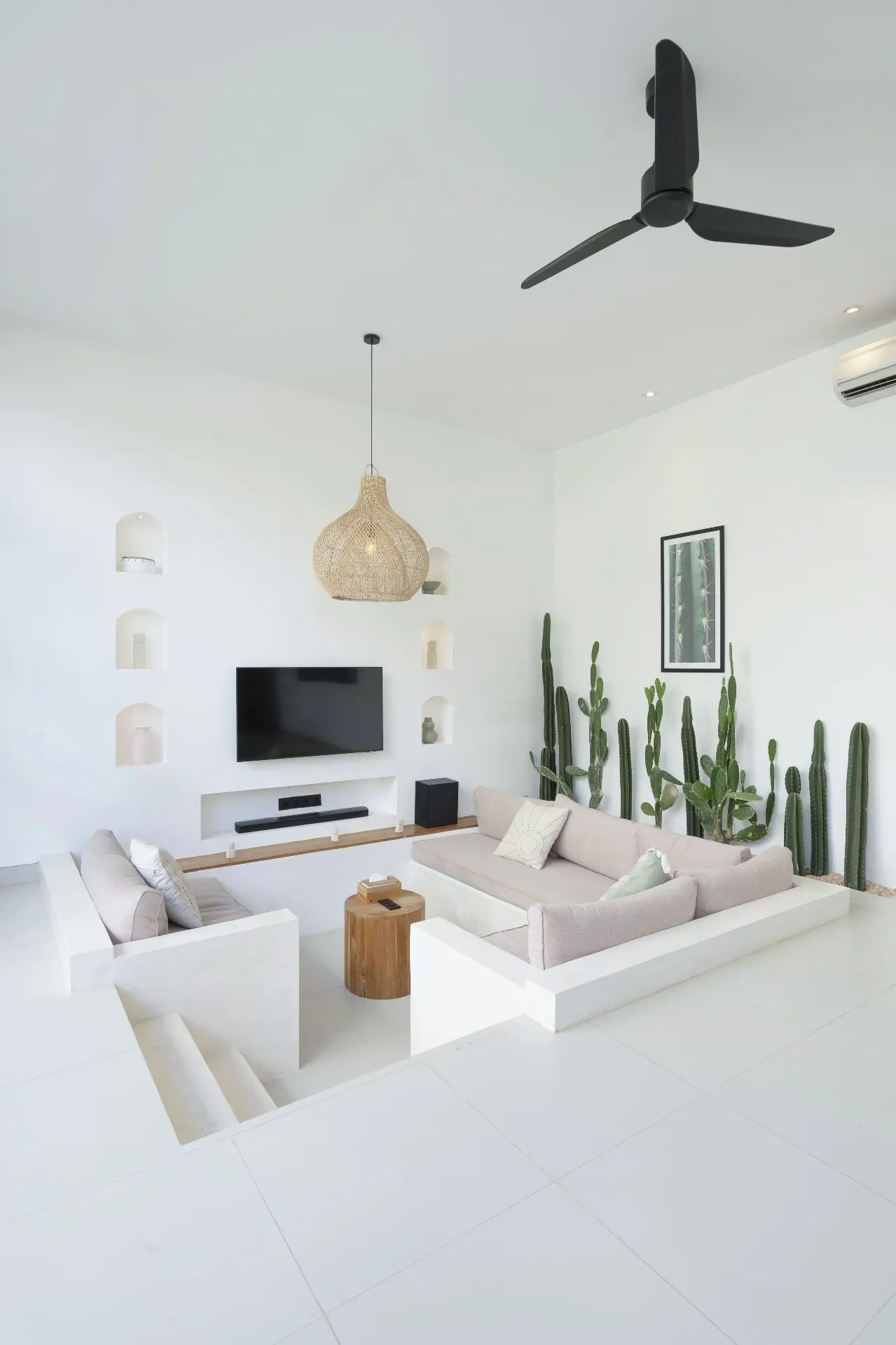 PALM 3 — image 3