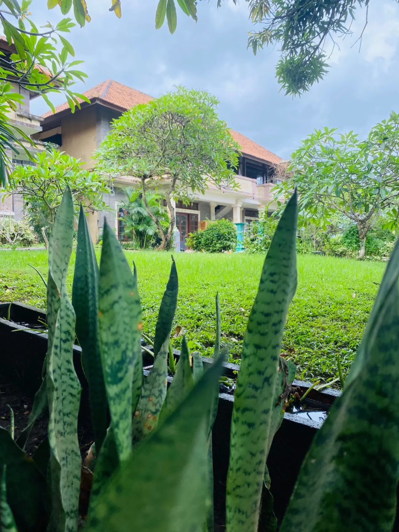 Sanur Hill