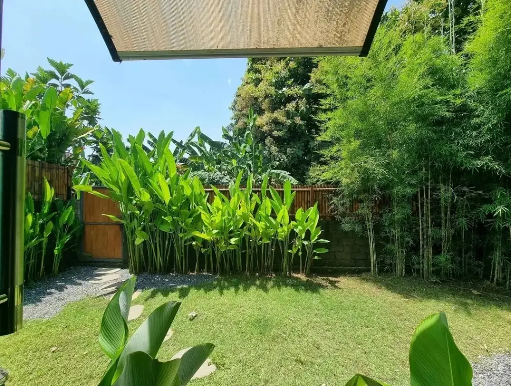 Brand New 1 Bedroom in Canggu — image 1