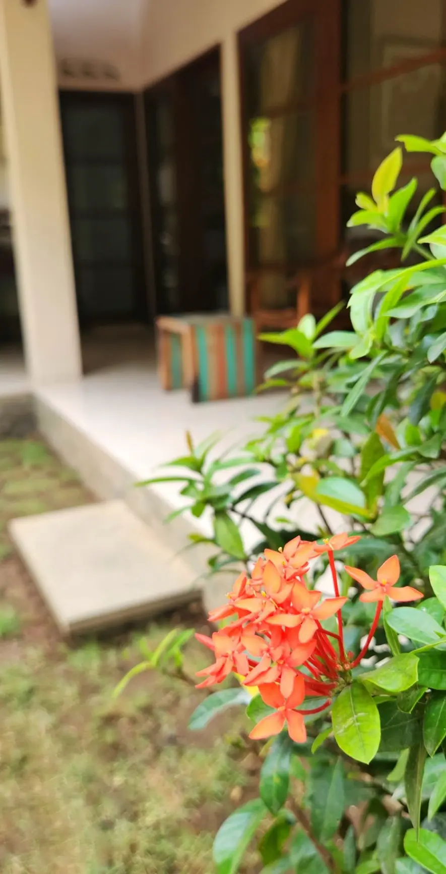 3 Bedrooms Tranquil Balinese Home in Sayan Ubud — image 1