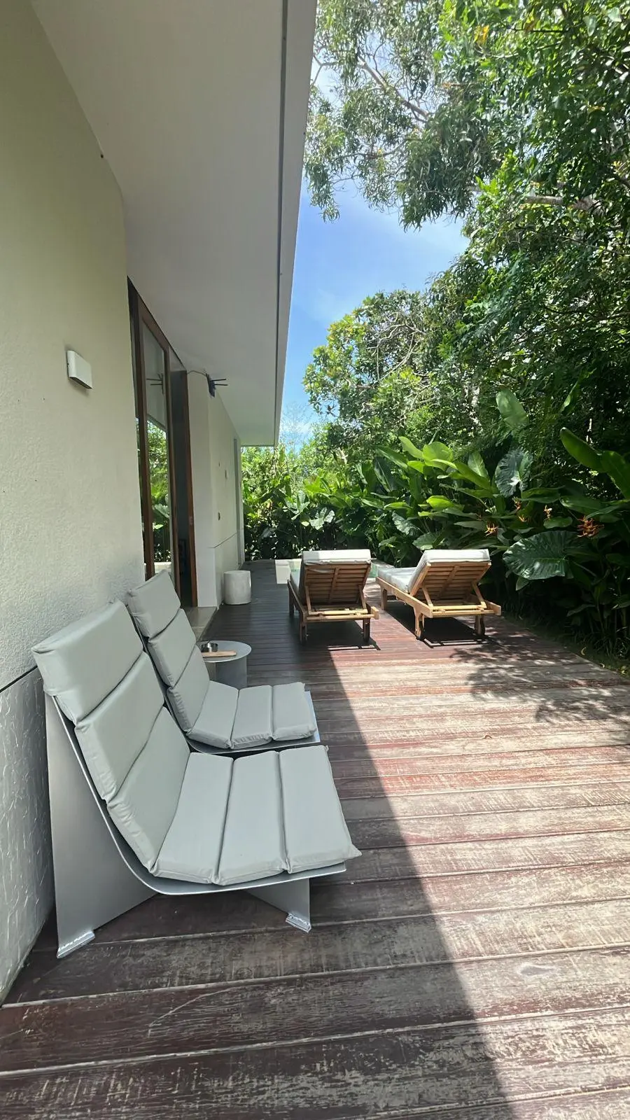 The Modern Oasis