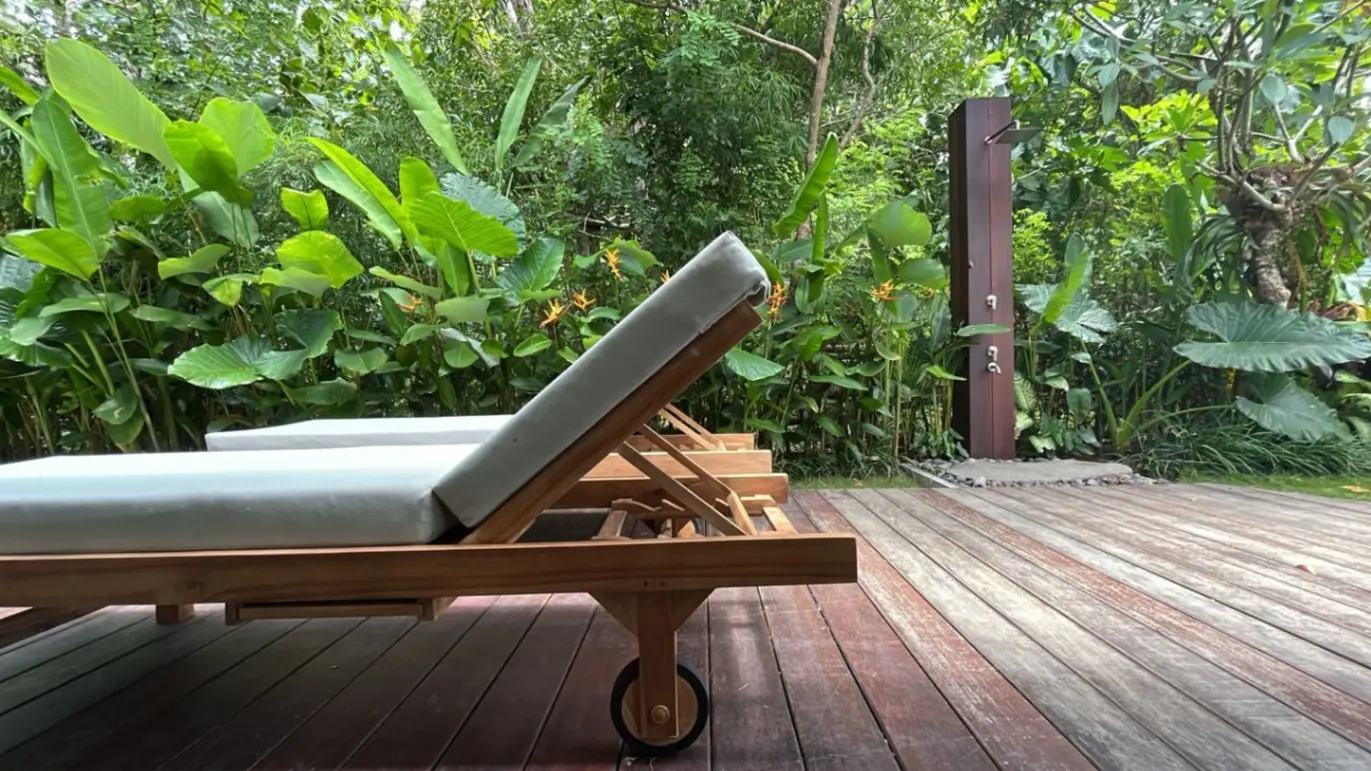 The Modern Oasis — image 2