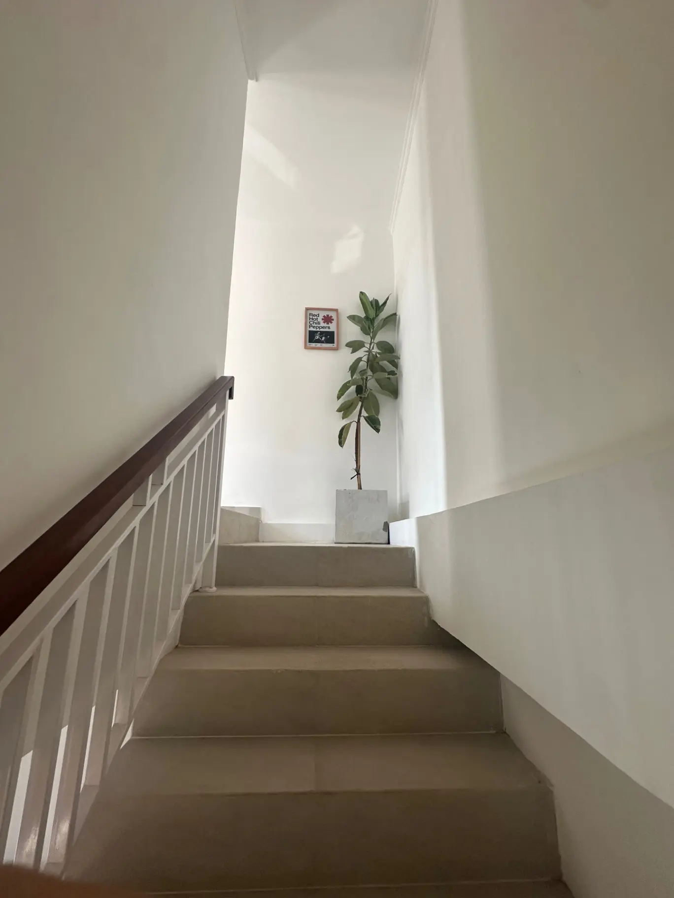 Noah’s Villa — image 1