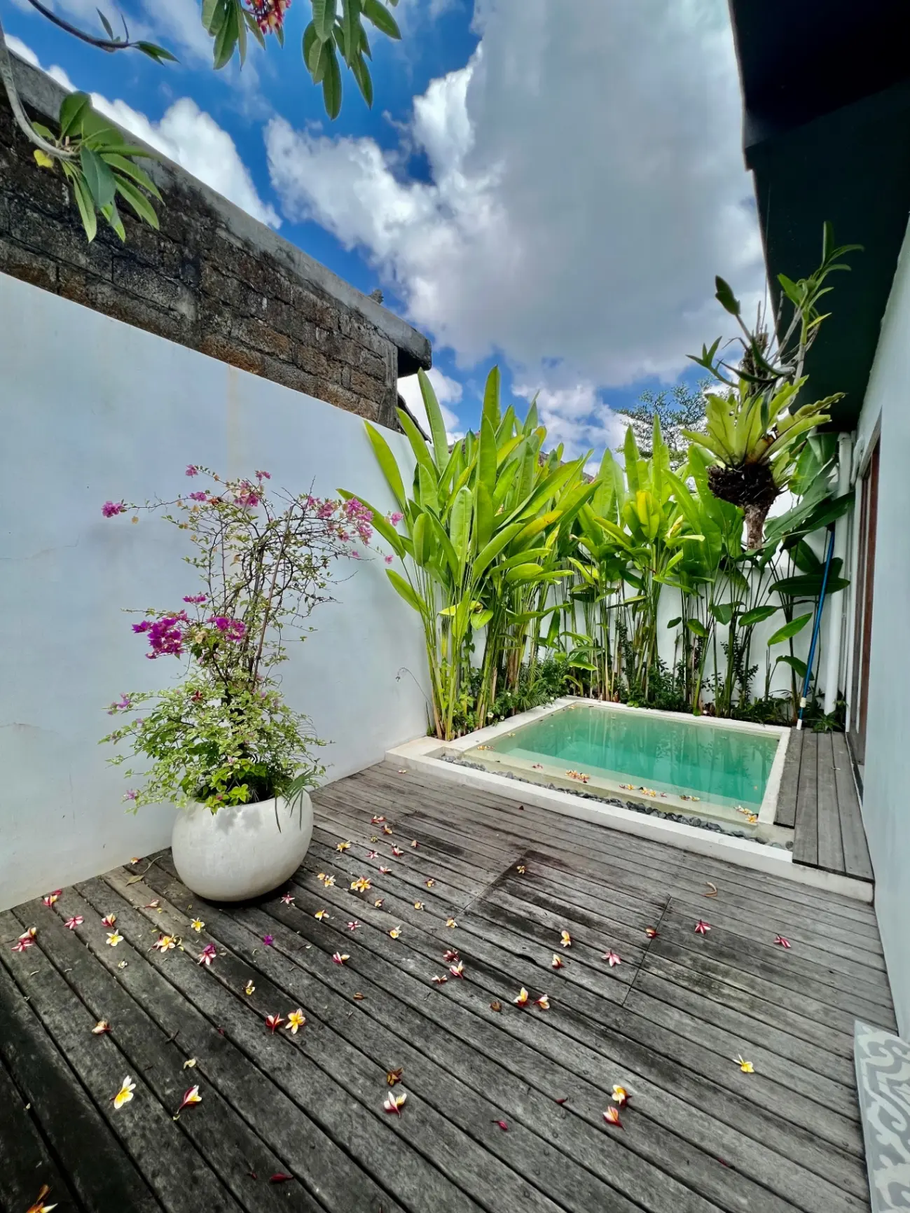 Noble House Dalung — image 1