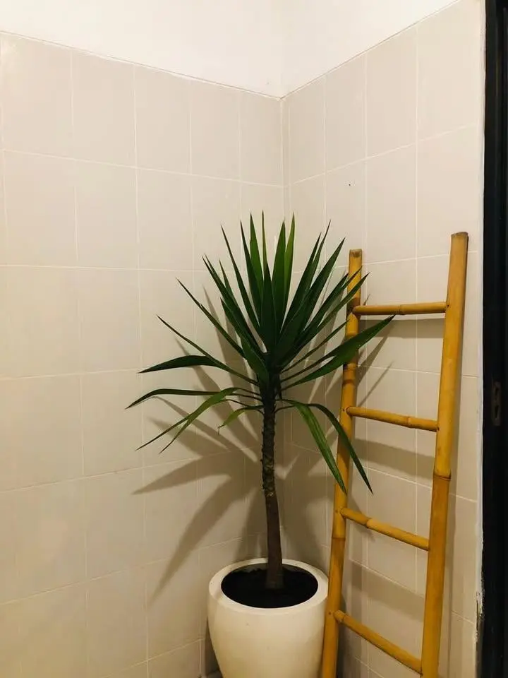 Seminyak Beach Private Studio Cottage — image 1