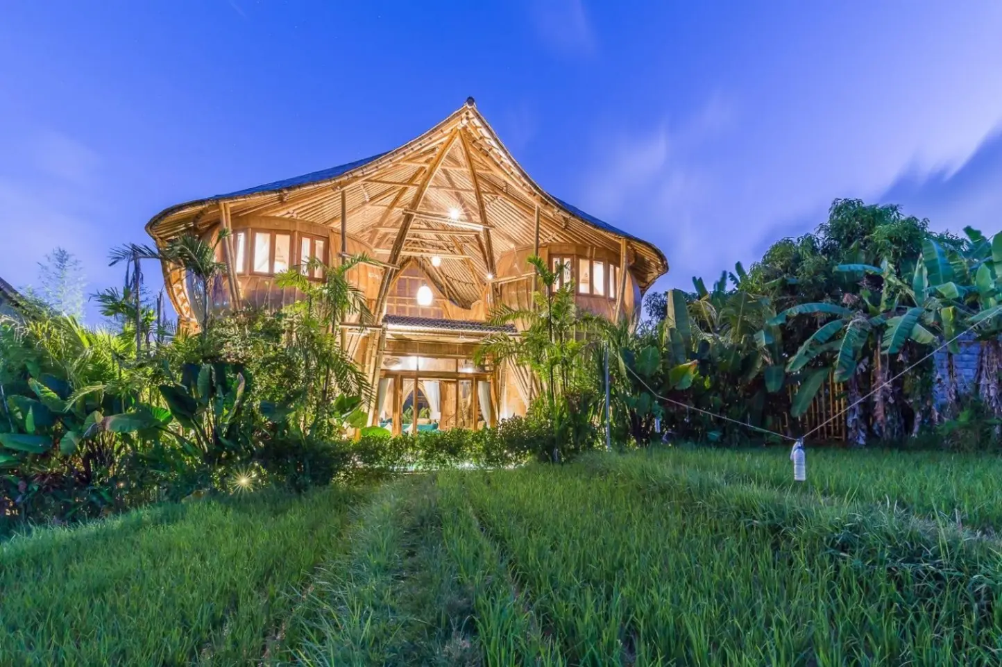 3 Bedroom | Rice Field View | Canggu