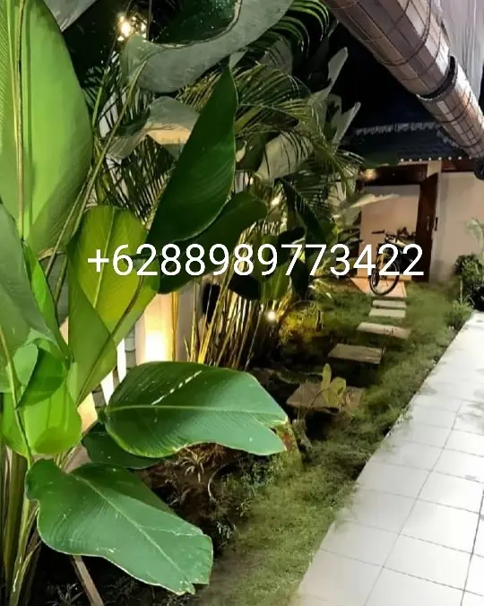 Berawa villa new — image 2