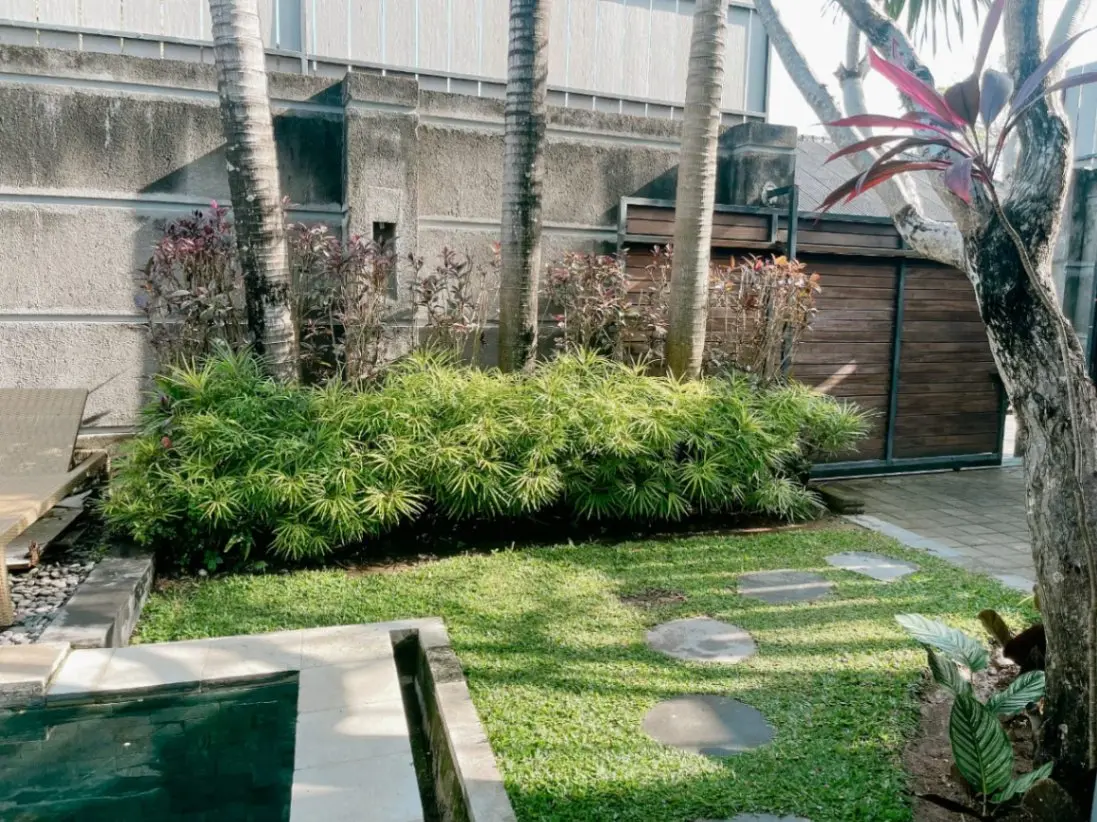 Serene 3 Bedrooms Villa in Canggu — image 2