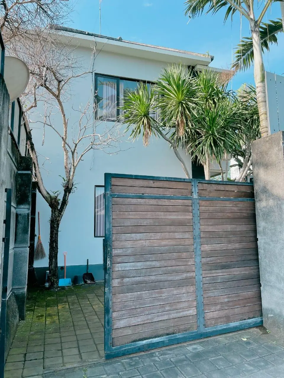 Serene 3 Bedrooms Villa in Canggu — image 3