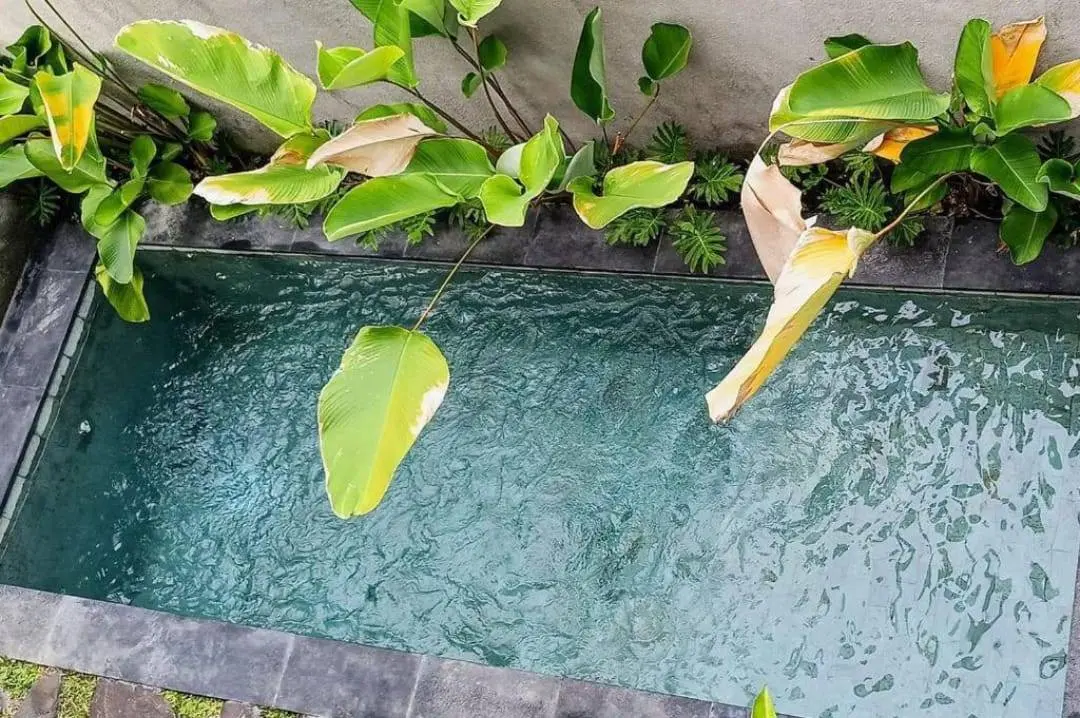 2BR Villa In Sanur — image 1