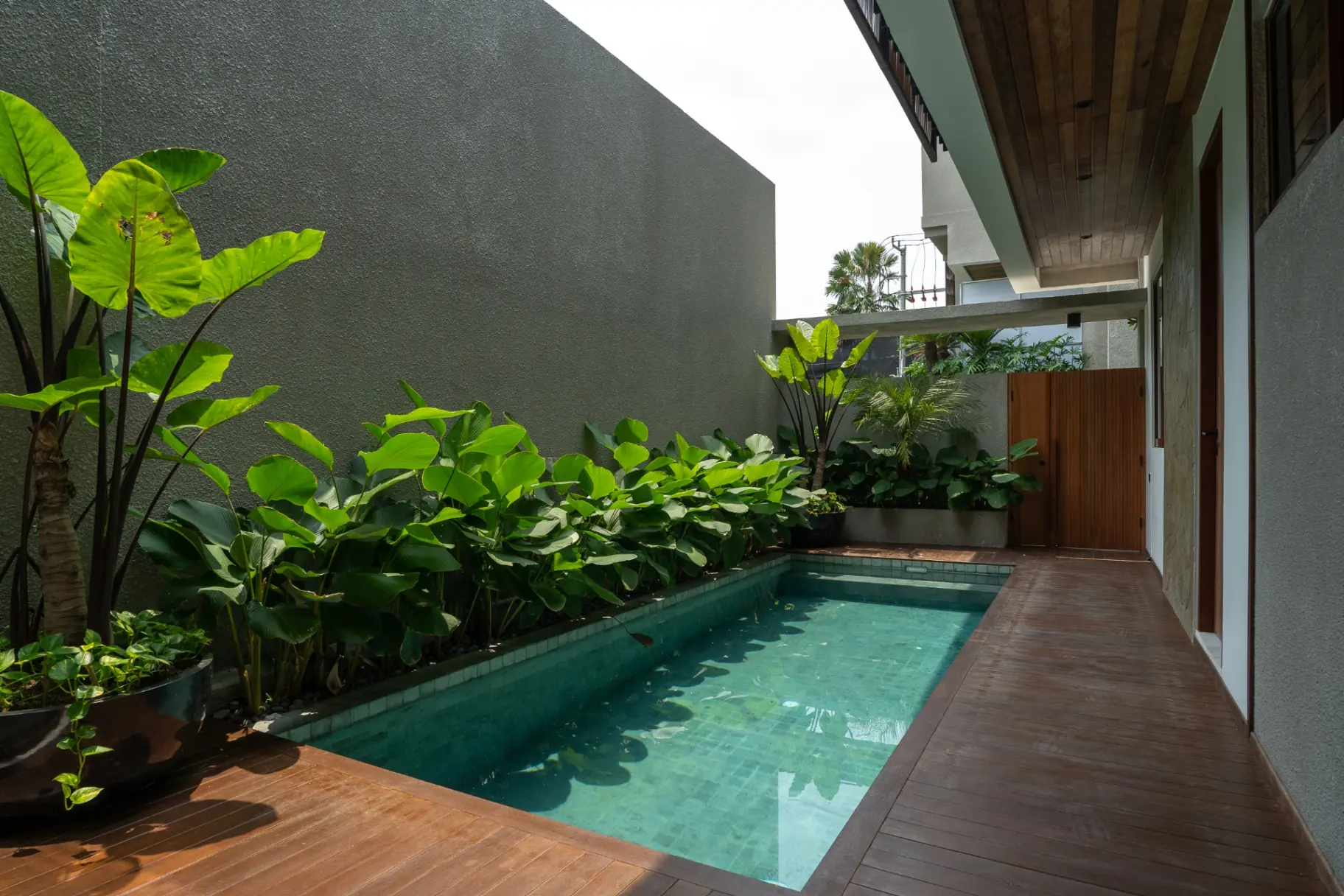 New elegant villa in Canggu🏡 — image 2