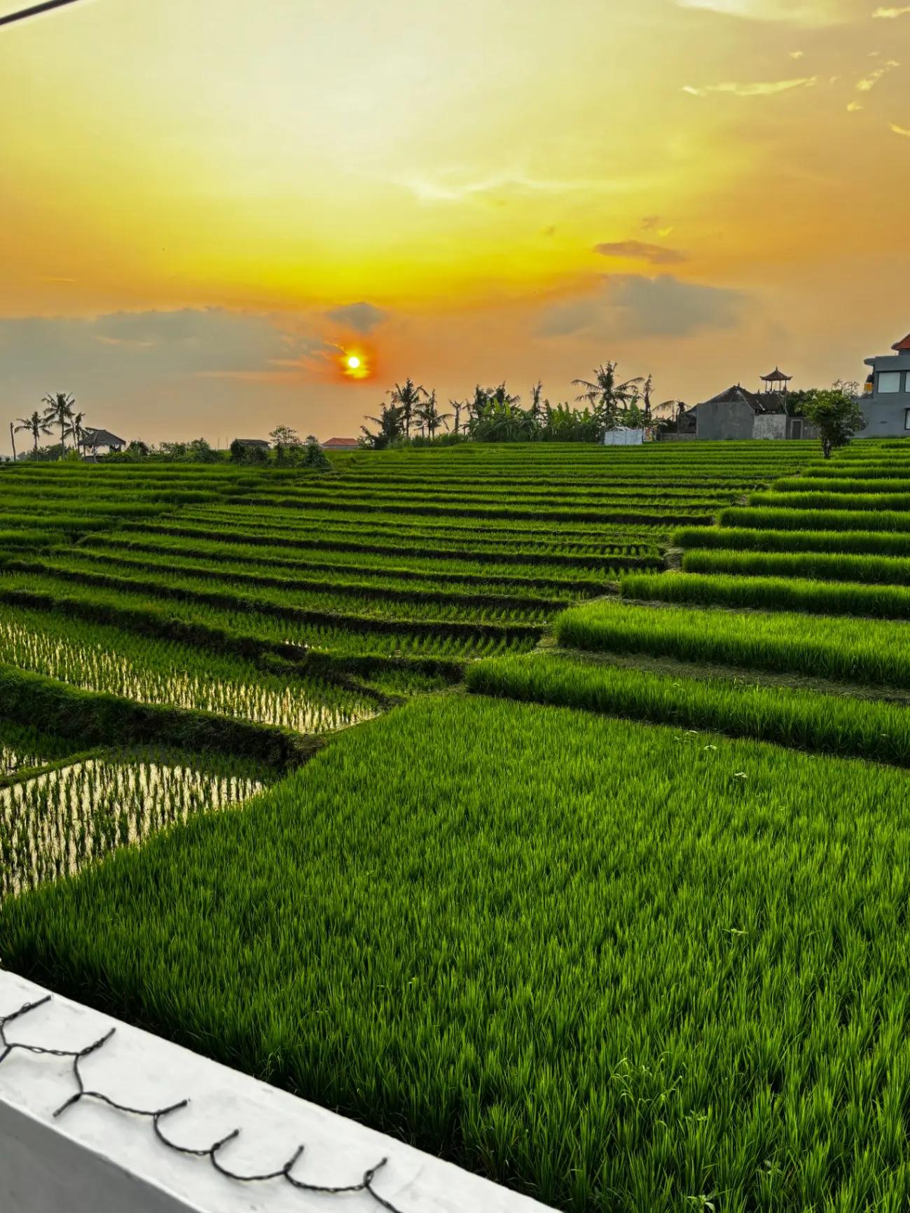 2BR Villa - Ubud Vibes in Canggu - Very Chill Area — image 3