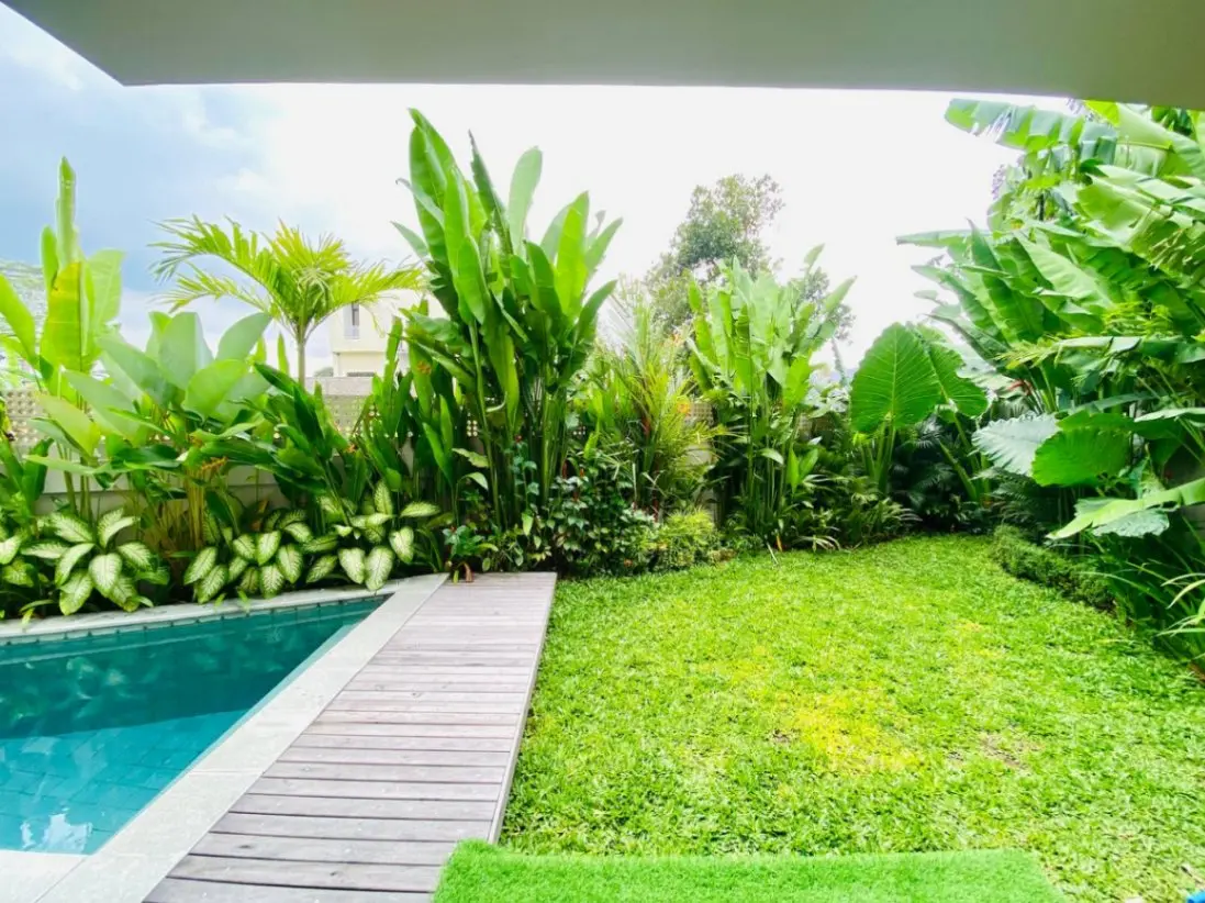 MODERN 3 BEDROOMS VILLA WITH PEACEFUL RICEFIELD VIEW IN CEMAGI - AF328 — image 4