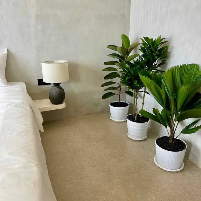 1-bedroom 1-bath villa in Canggu available for rent now! — image 4