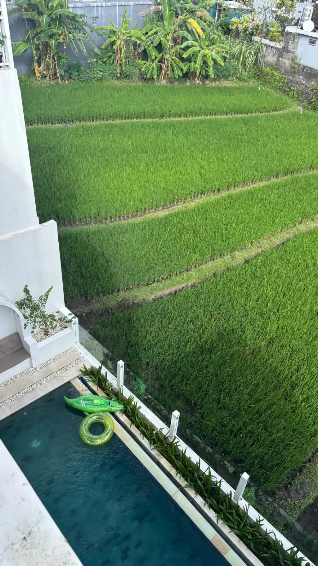 3 bedroom brand new luxury villa in Canggu with rice field view — image 2