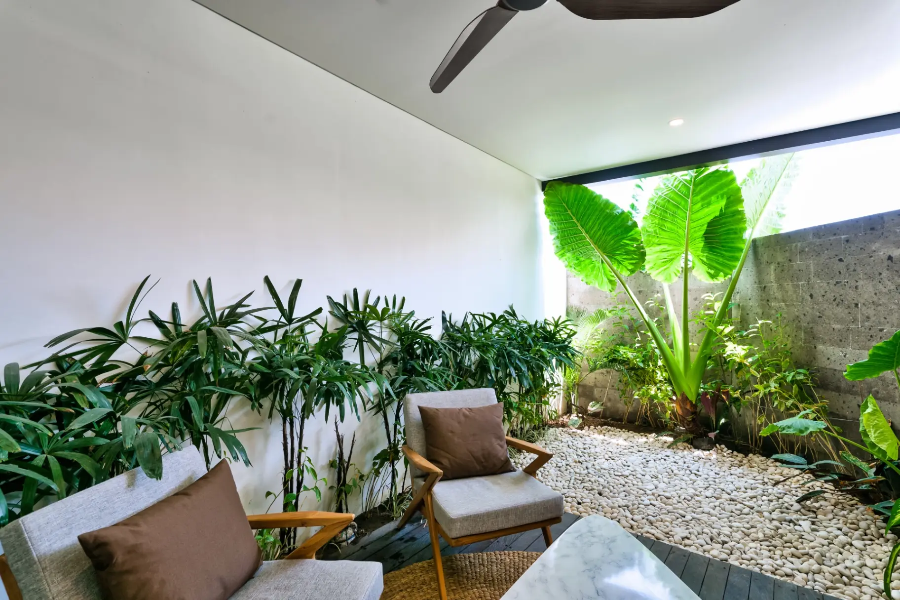 Berawa Townhouse Unit 5 - 2BR Paddy View Villa w/ Rooftop & Jacuzzi — image 1