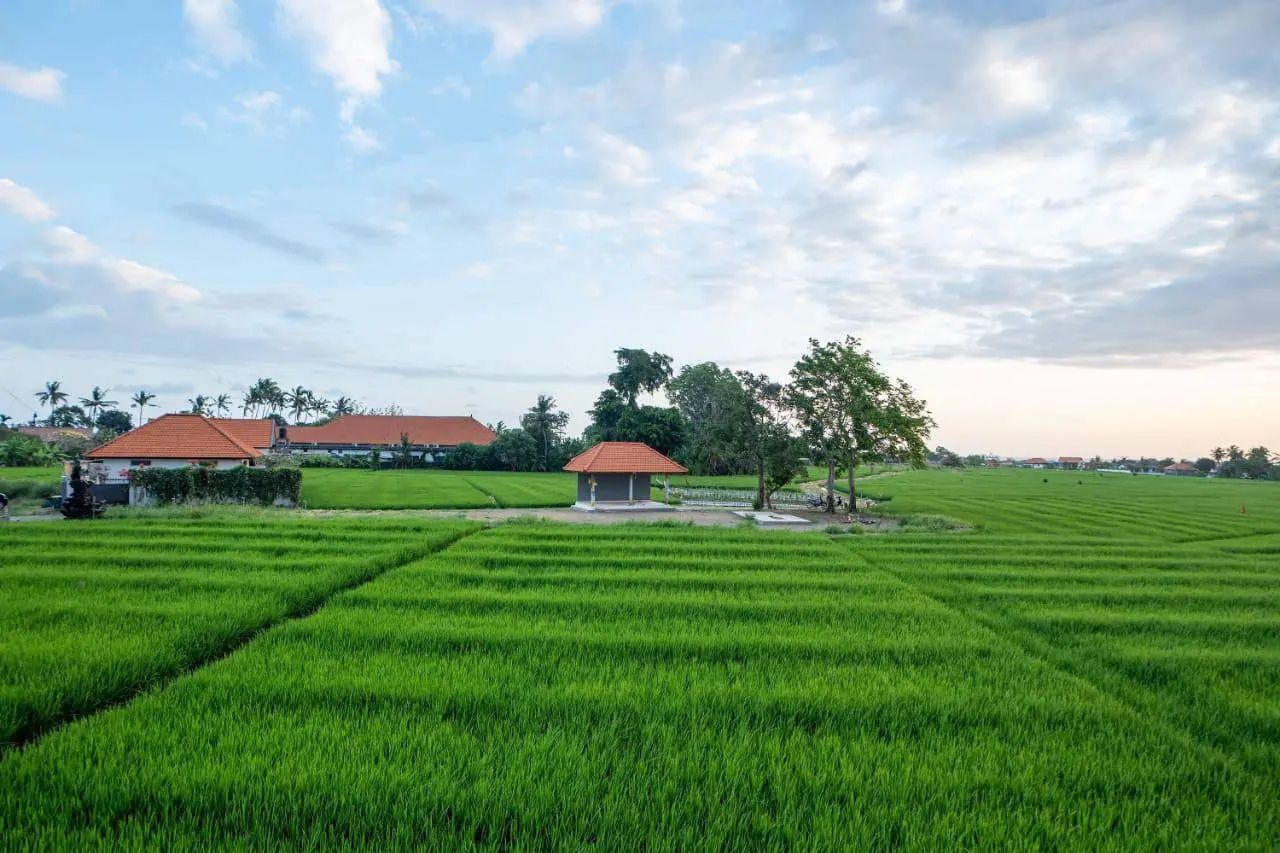 Brand New Balinese Styled Villa Nestled in Cemagi - AF184 — image 3