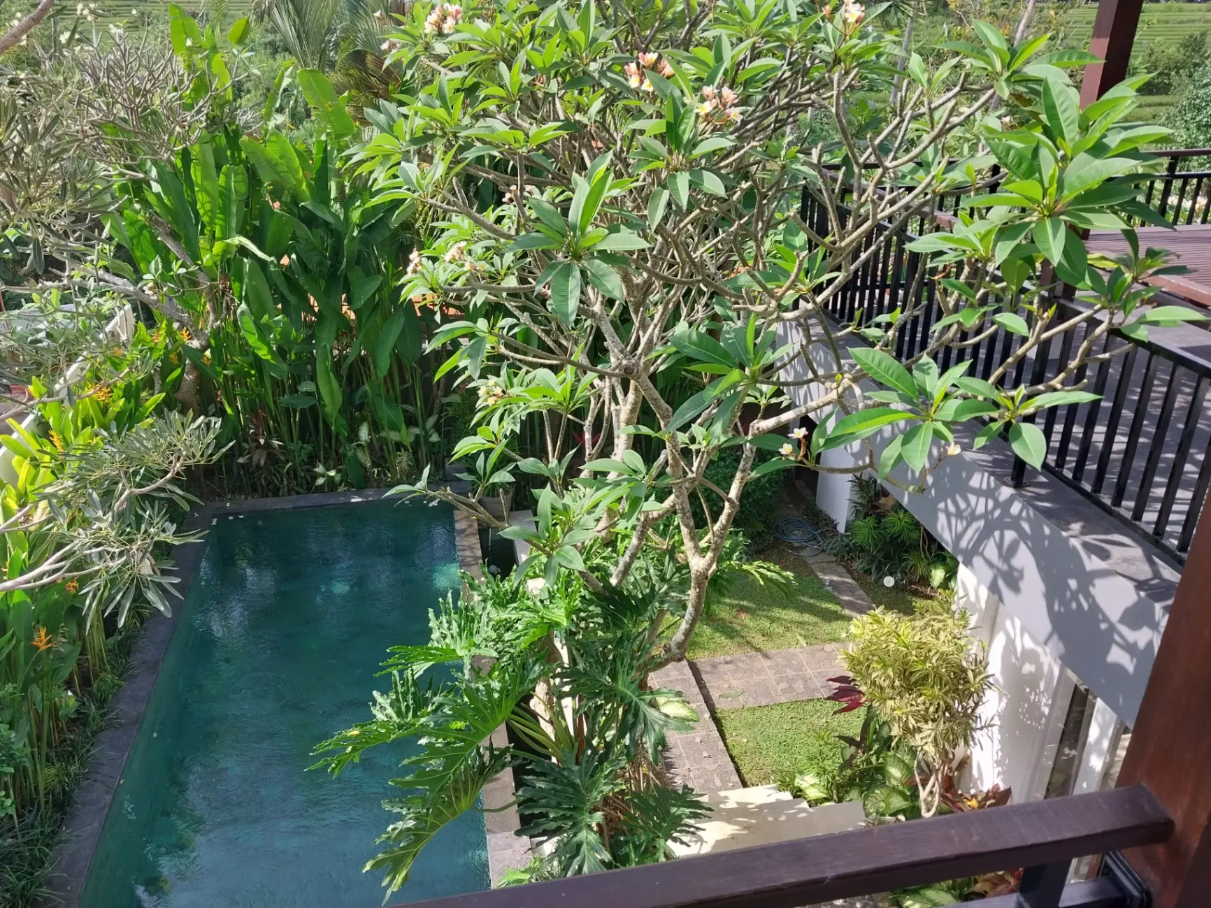 Villa Cocoon — image 1
