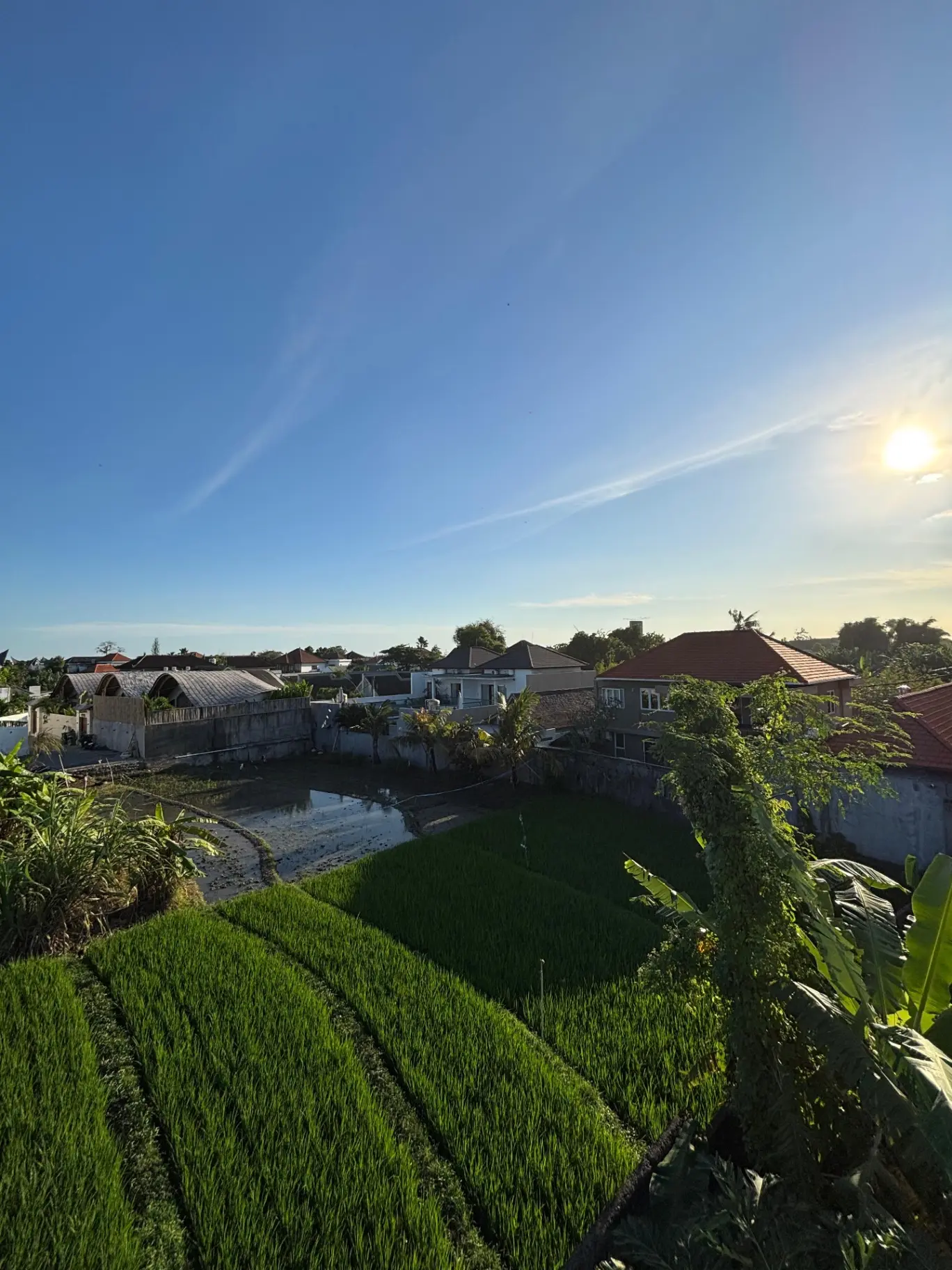 2 BR Sunset Rooftop Villa — image 3
