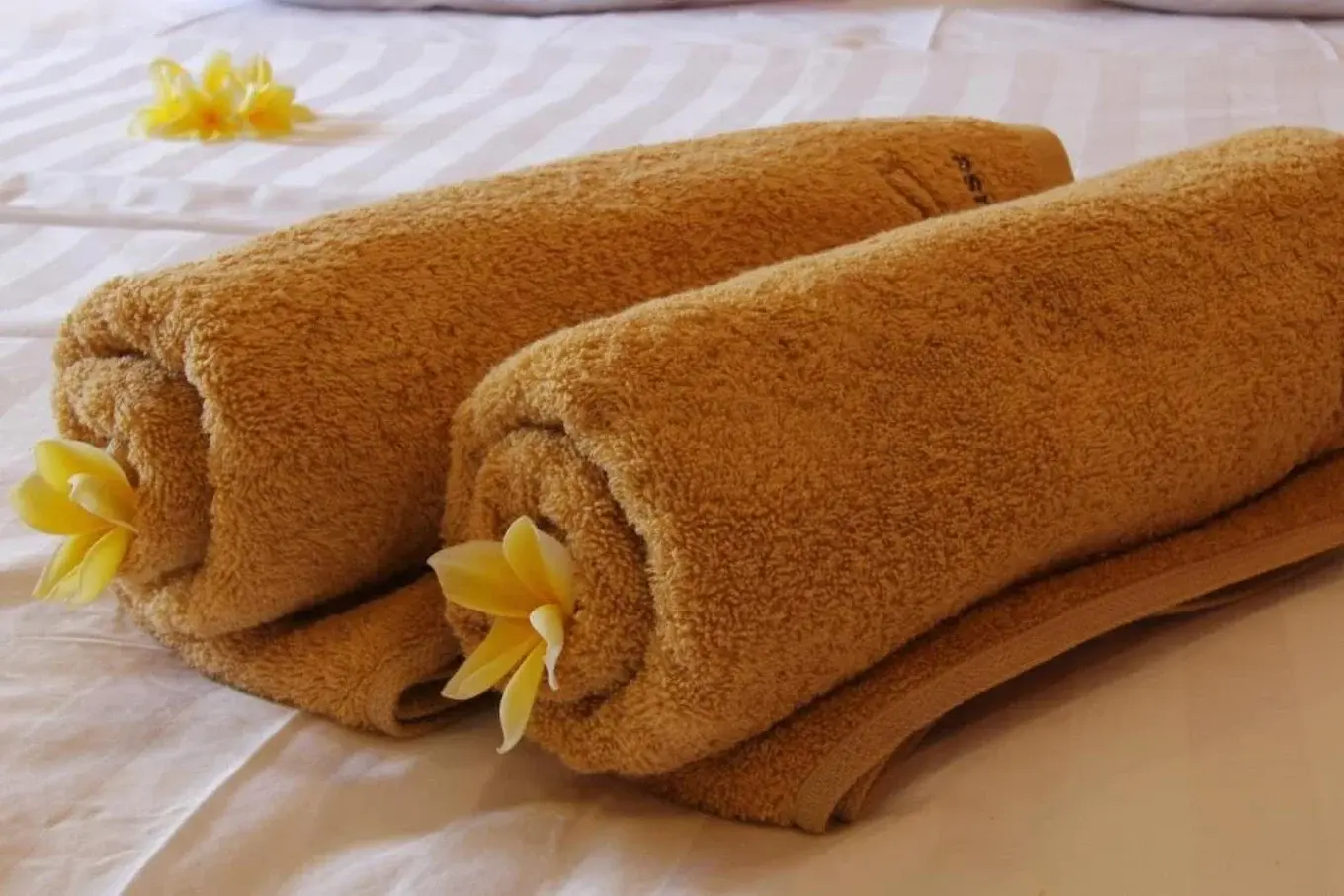Saren Guest House — image 3