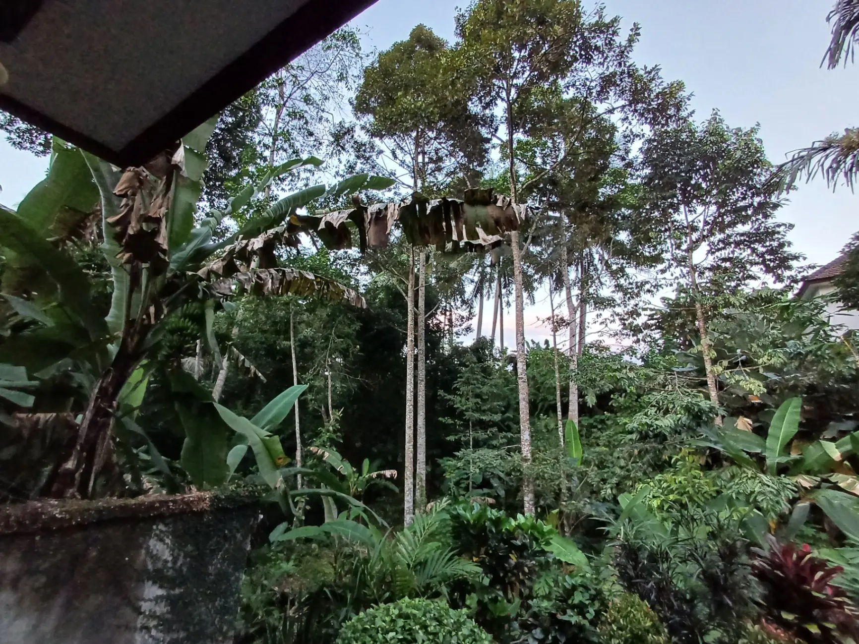 Kinari Ubud — image 4