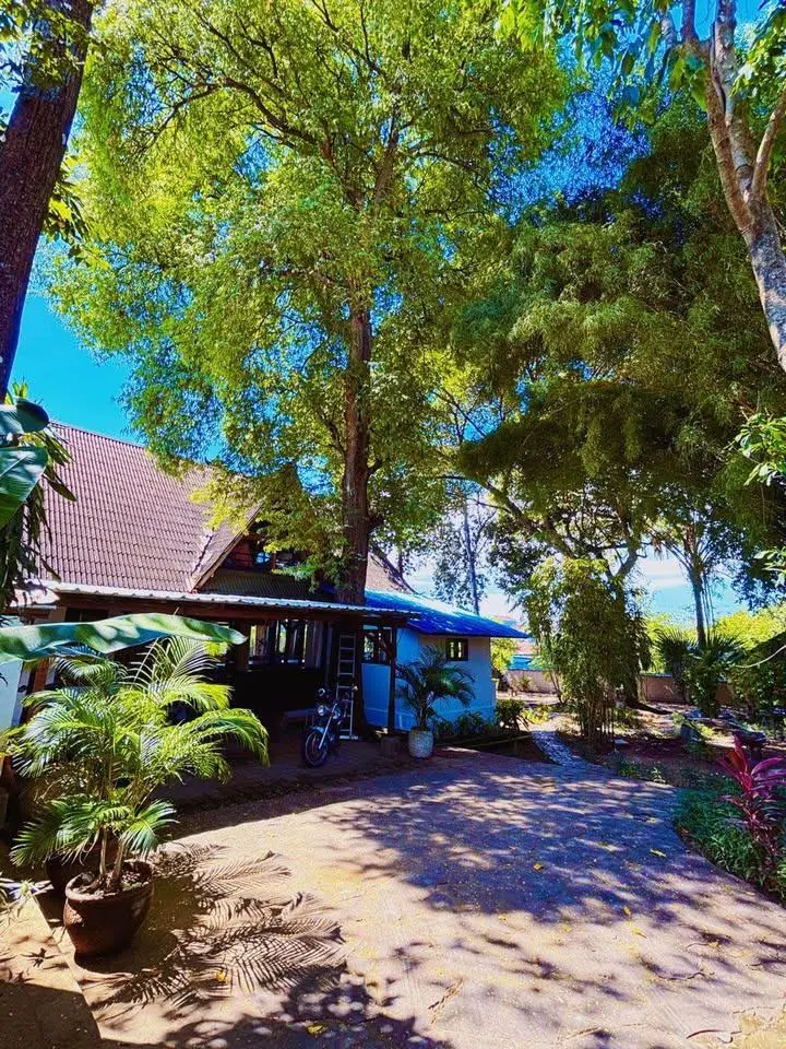 Pet friendly | Garden | Kerobokan — image 1