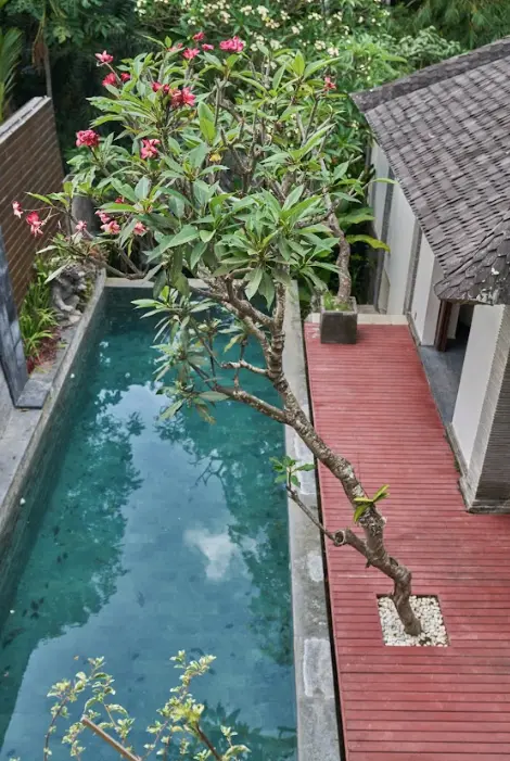3 BEDROOM VILLA FULLY FURNISHED IN UMALAS - AF482 — image 1