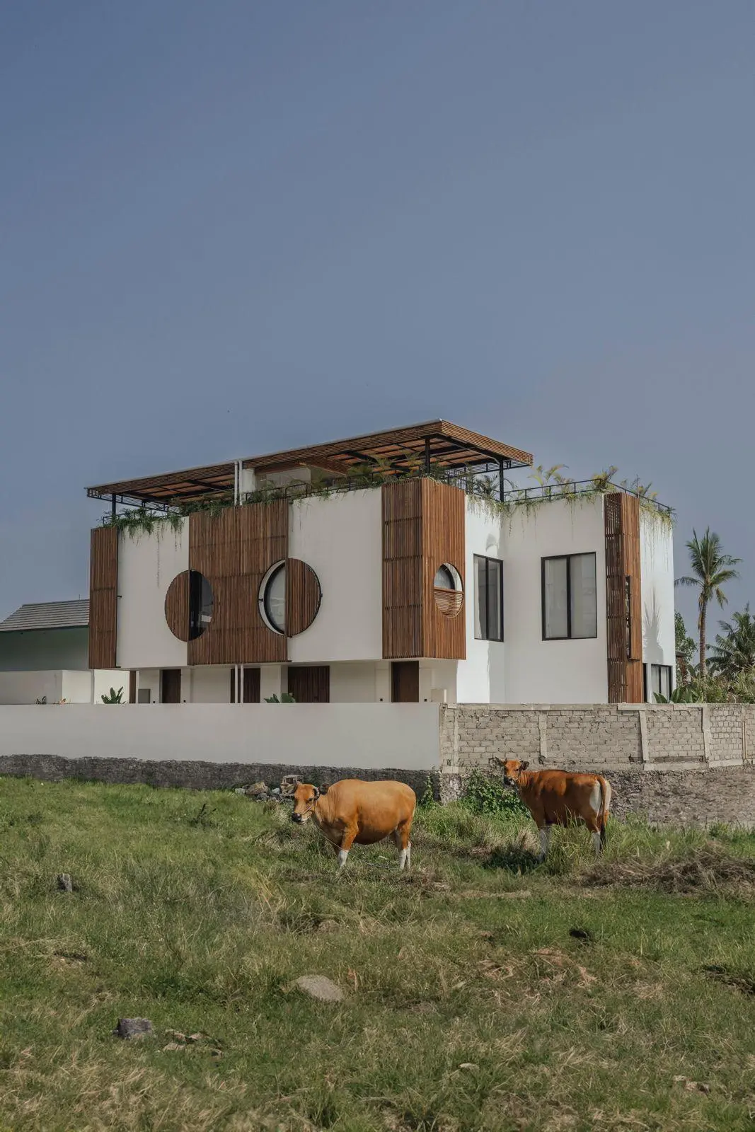 Luxury 4-Bedroom Villa for Monthly Rental in Pererenan — image 4
