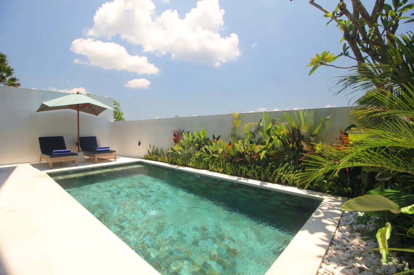 Seseh 1 bedroom — image 4