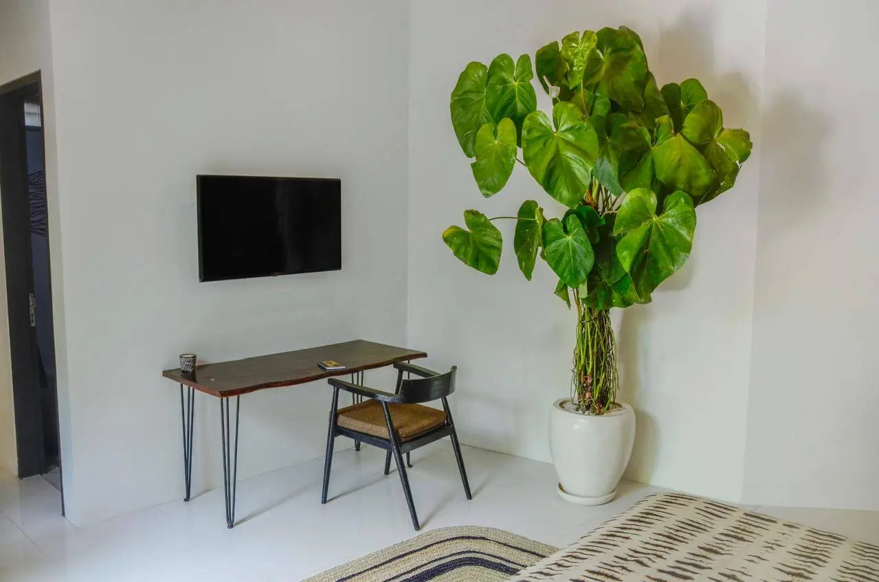 DO 400- FOR RENT TROPICAL VILLA LOCATED AT STRATEGIC LOCATION TUMBAK BAYUH — image 1