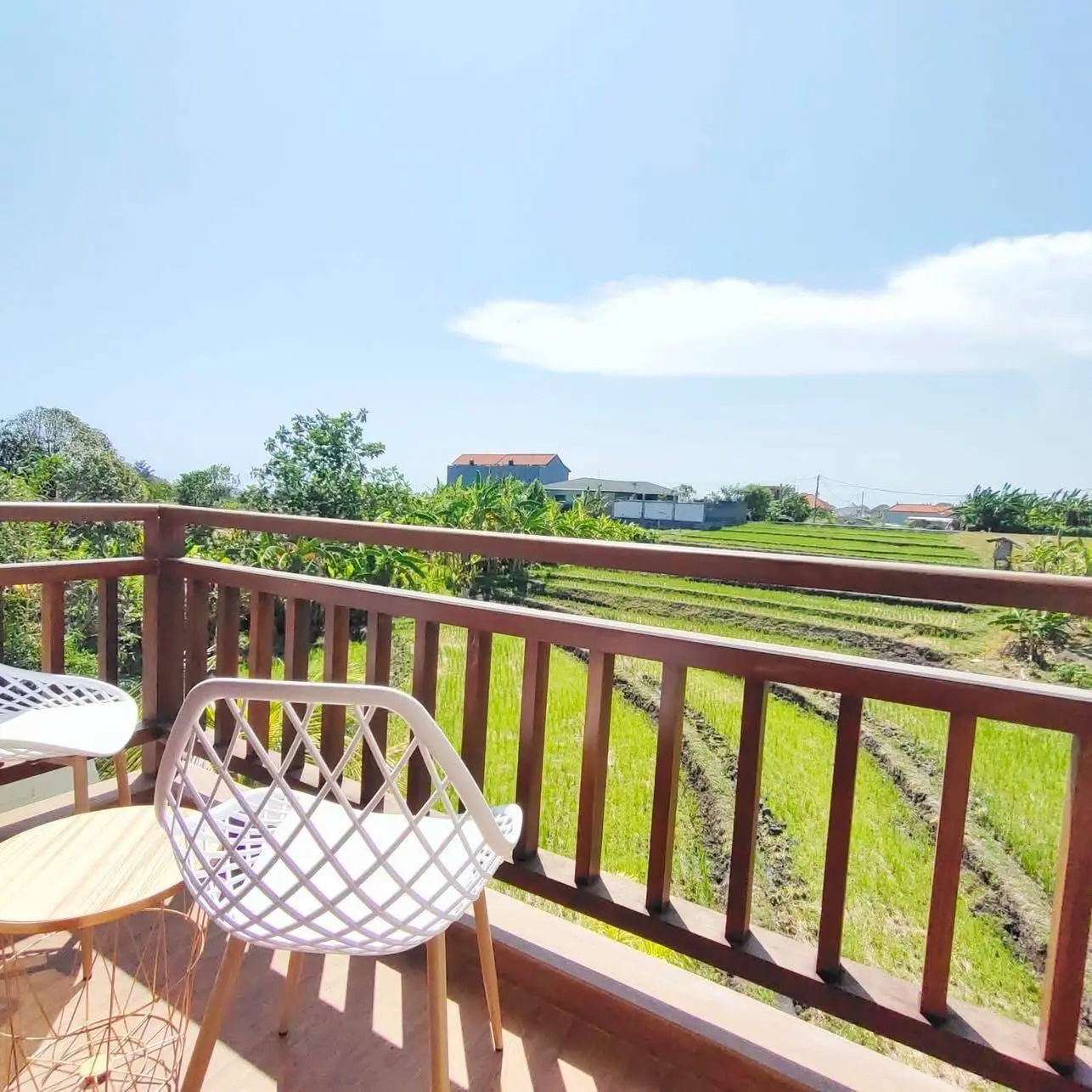 Modern 2 Bedroom Villa for Rent in Babakan Canggu with rice field view — image 1