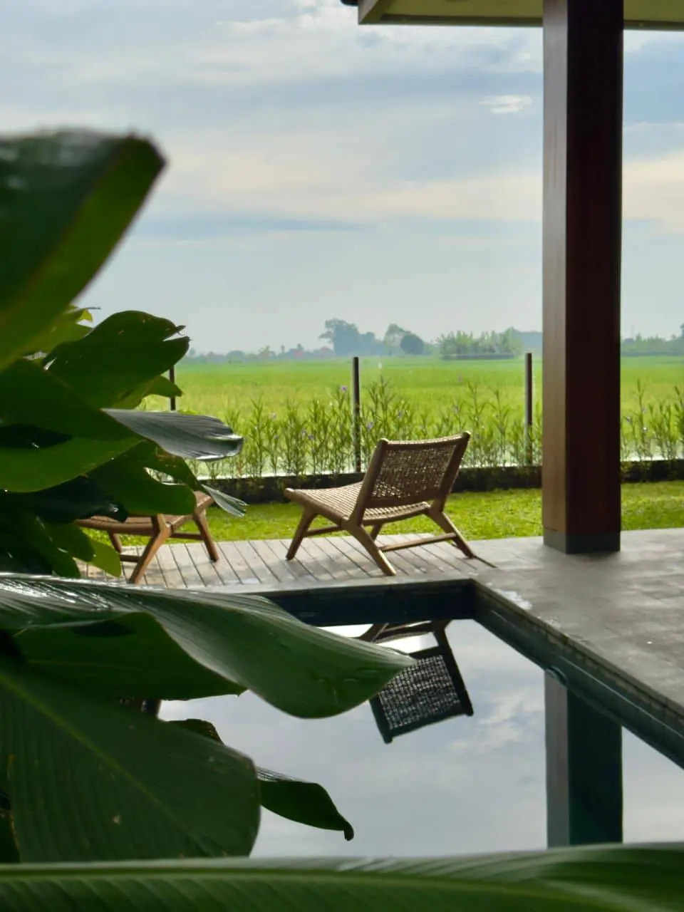 Modern 2 Bedroom Villa in Kedungu with Rice Field View — image 2