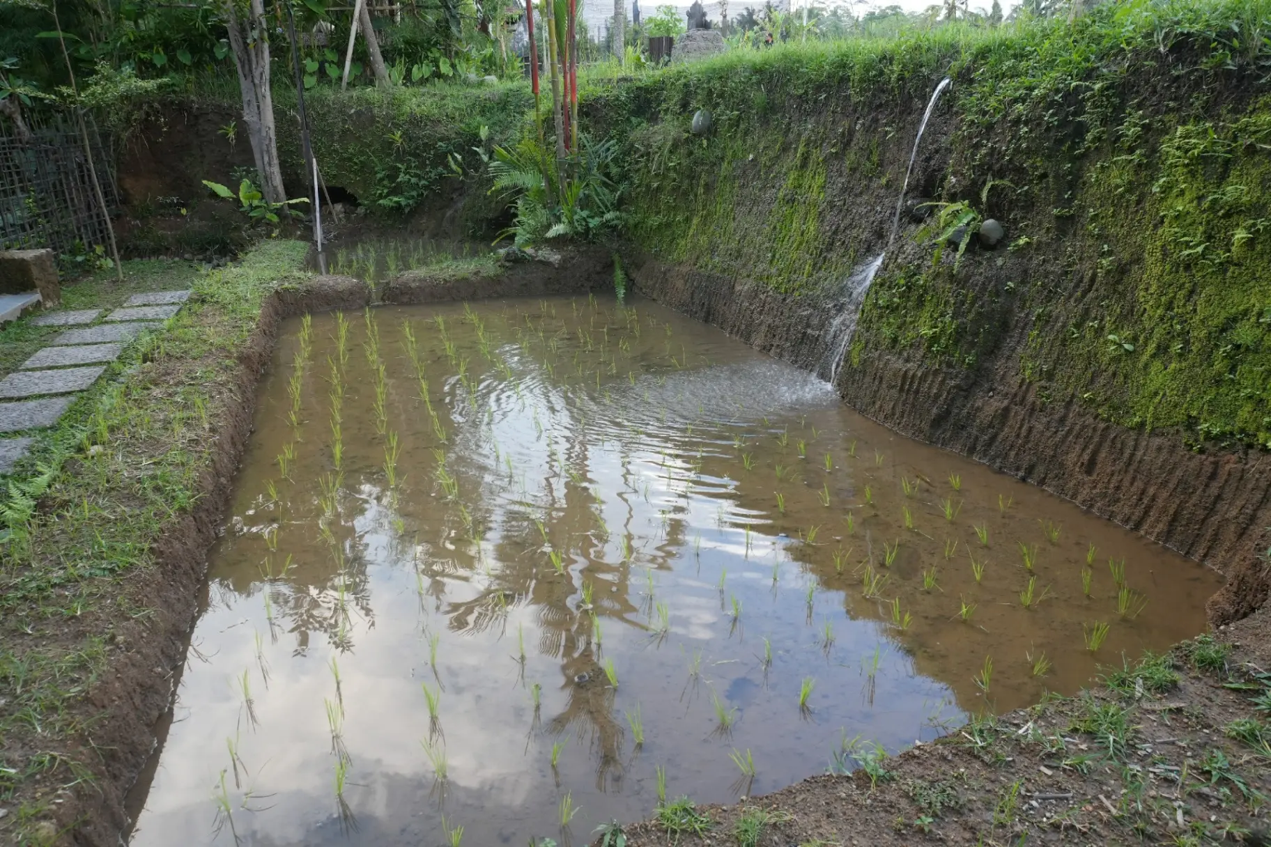 Private 2 Bedroom Pool Villa Jungle and Ricefield View — image 4
