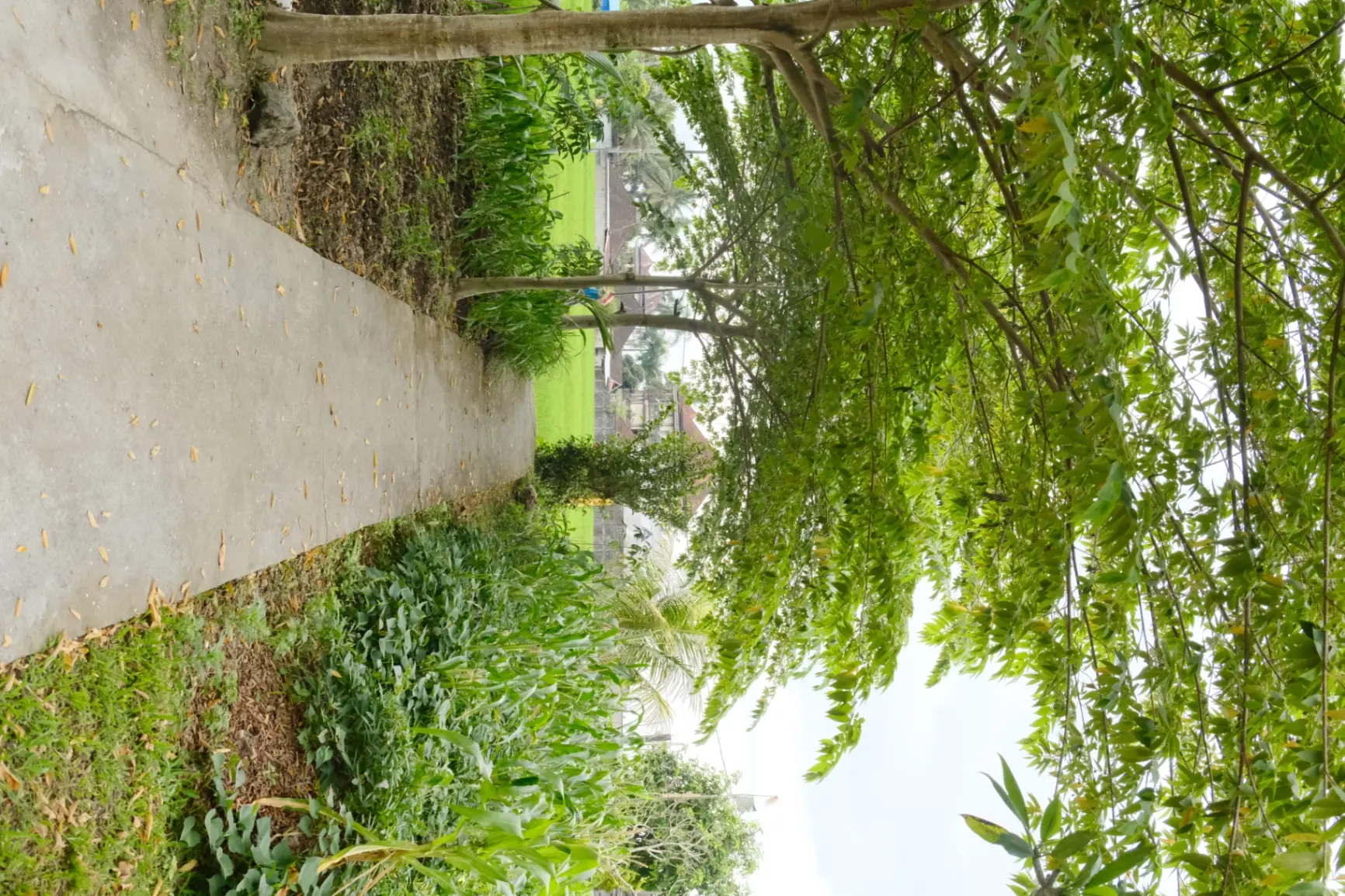 villa benteng jaya — image 2