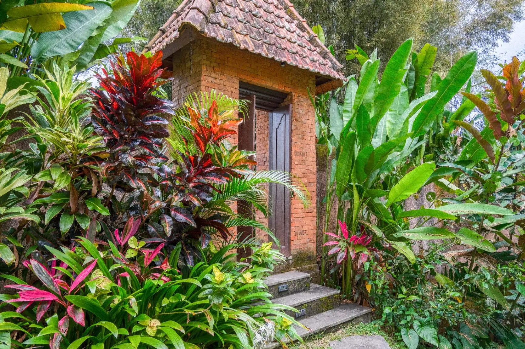 For Rent-3 bedrooms villa with private pool & jungle view in Kenderan Ubud — image 2