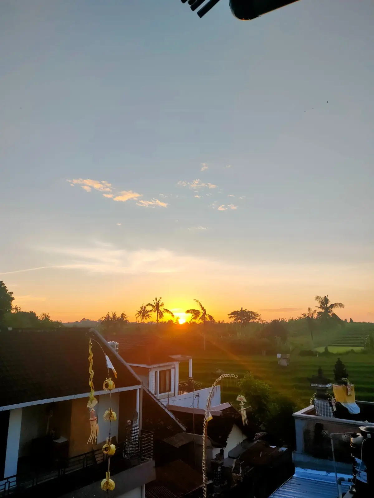 Modern 3BR Villa w/ Rice Field Views