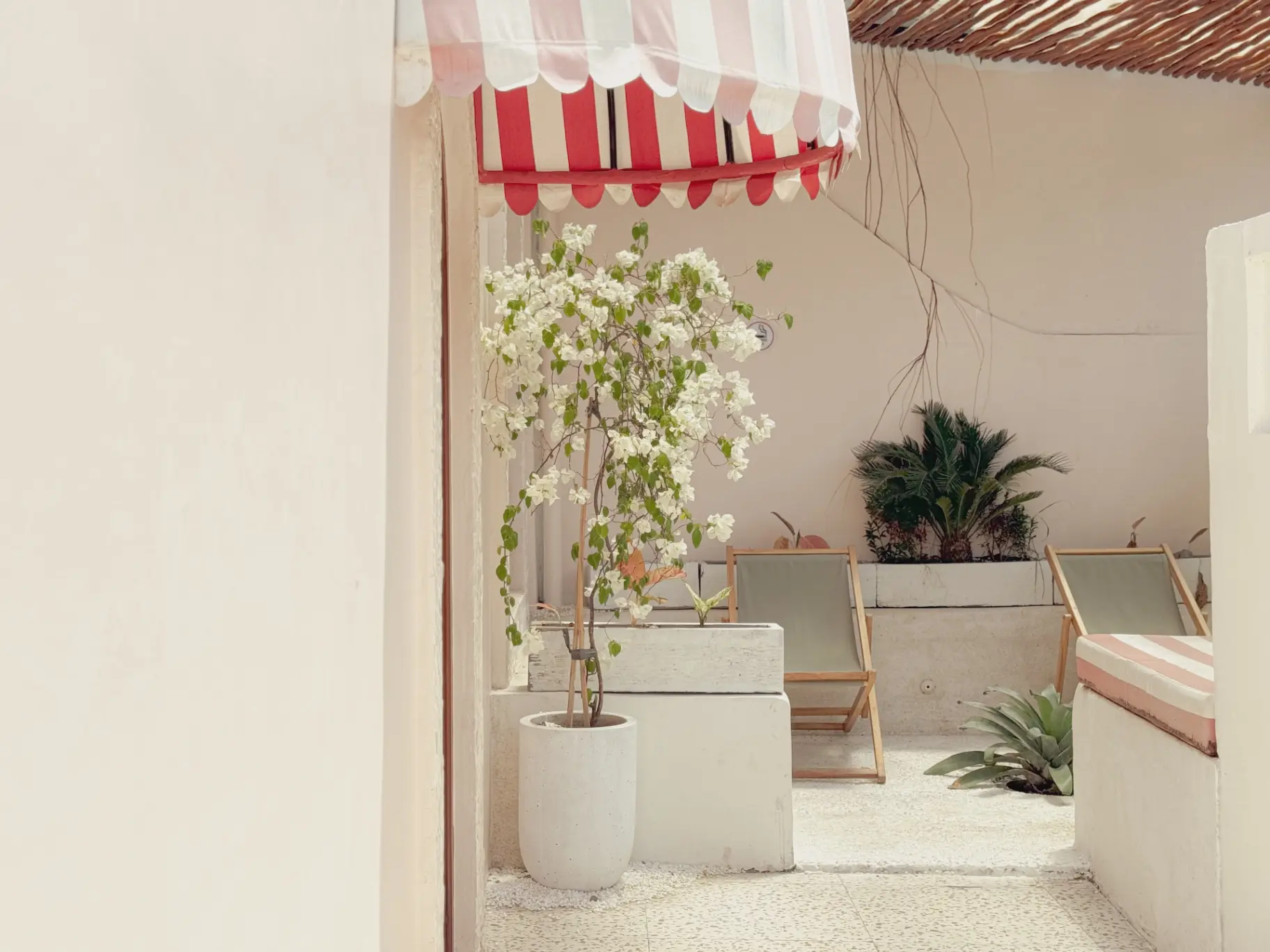 2 Bedroom Private Pool Villa Berawa — image 1