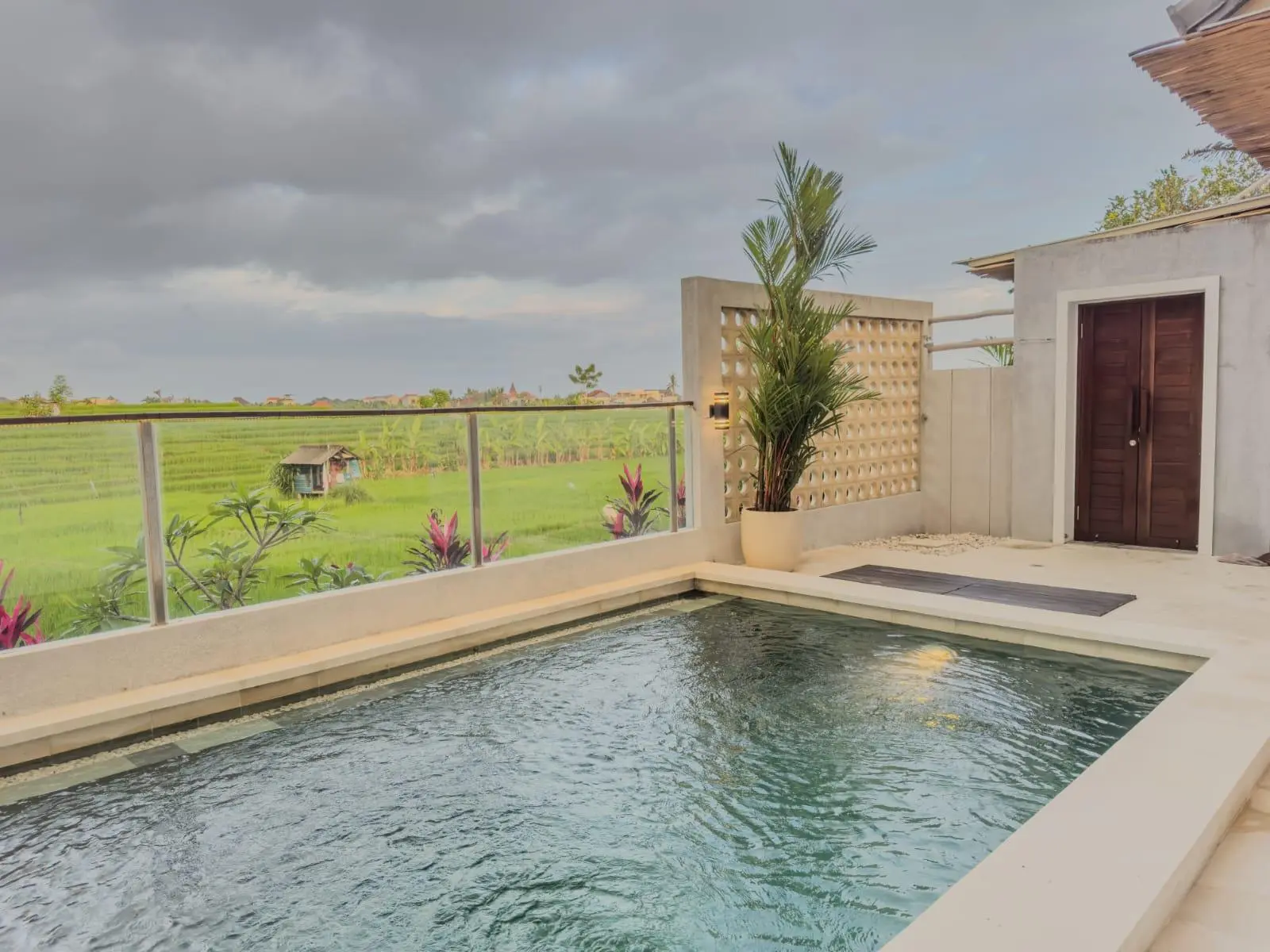 ✨ 3BR Villa for Rent in Canggu – Rice Field View ✨
