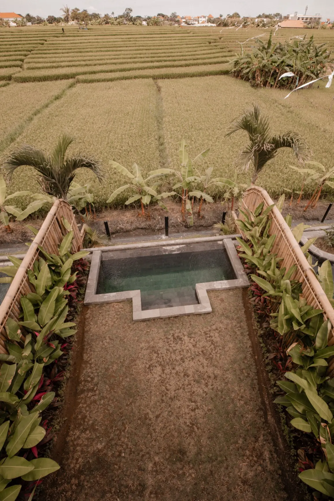 Luxury 1BD Rice Field Views - Pantai Lima — image 3