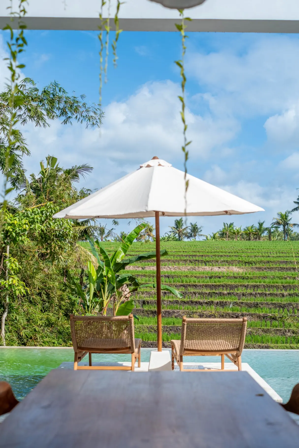 Modern Riverfront Villa w/ Rooftop – Tabanan — image 2
