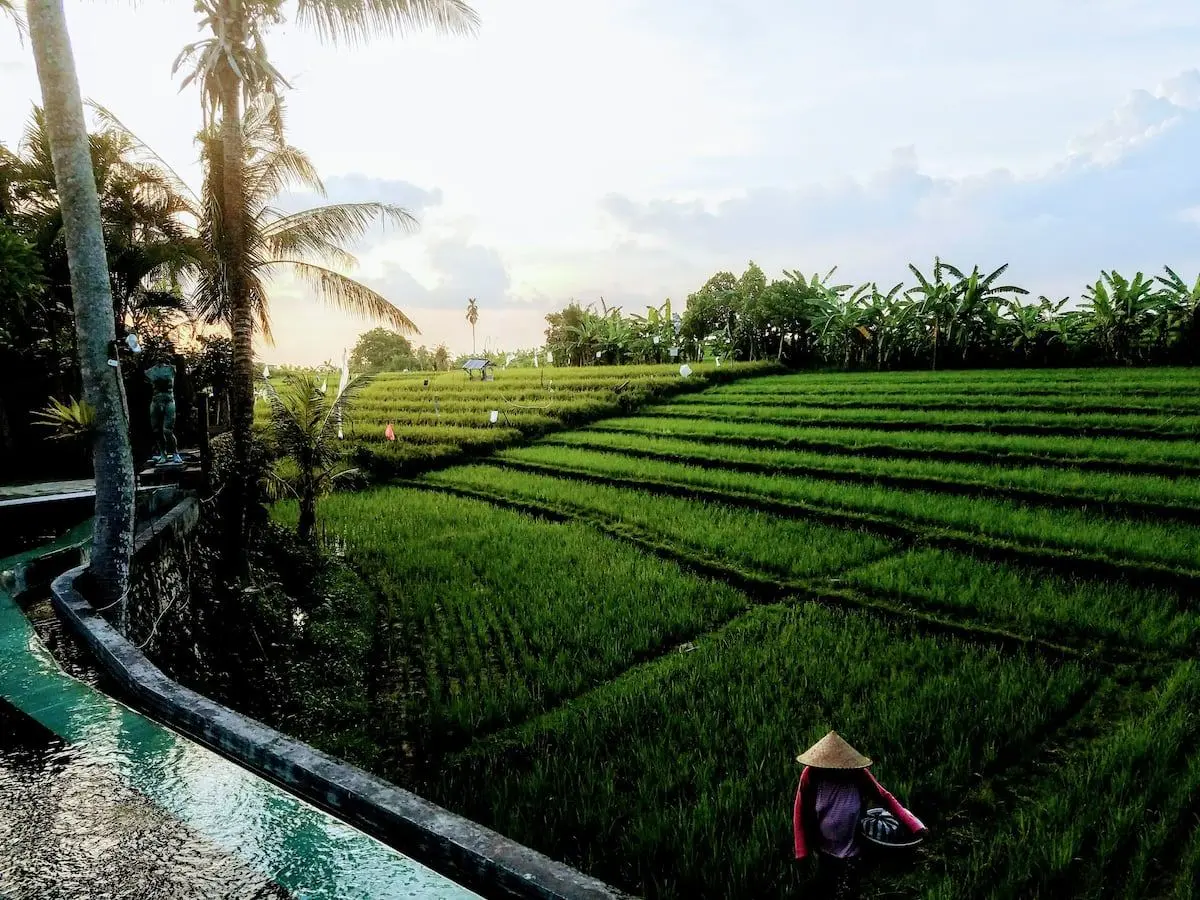 DO 07 - Villa For Sale in Canggu Bali — image 1