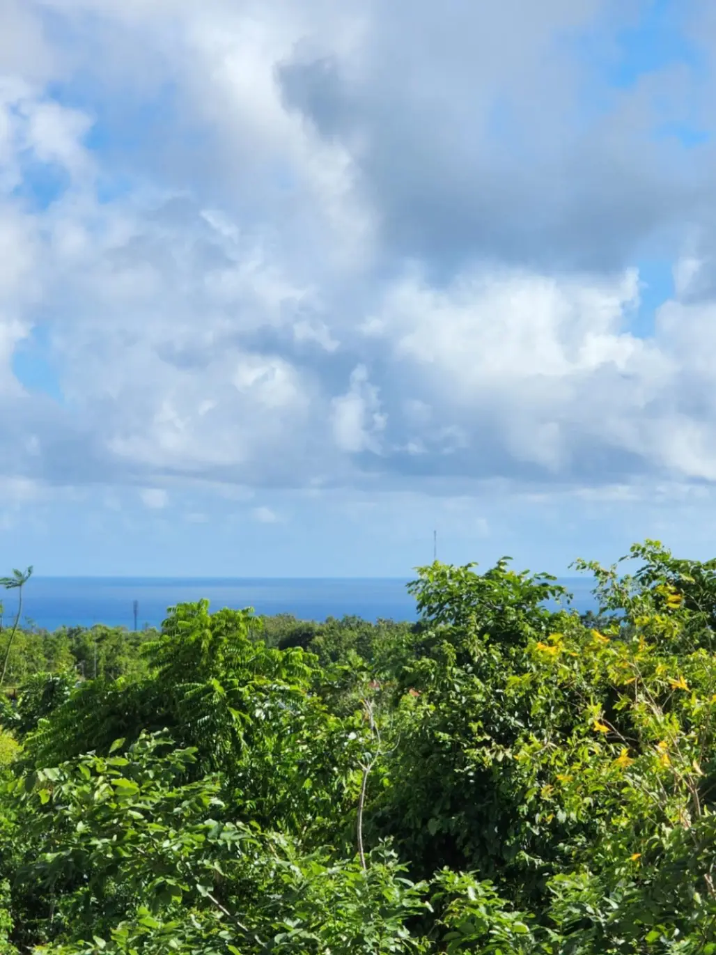 DO 05 - VILLA FOR SALE IN UNGASAN BALI — image 2