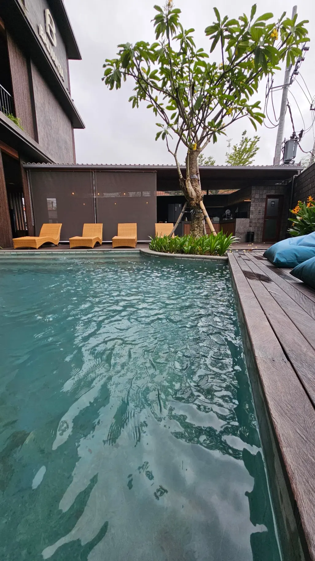 BLV Apartment [Video included in this post] — image 3