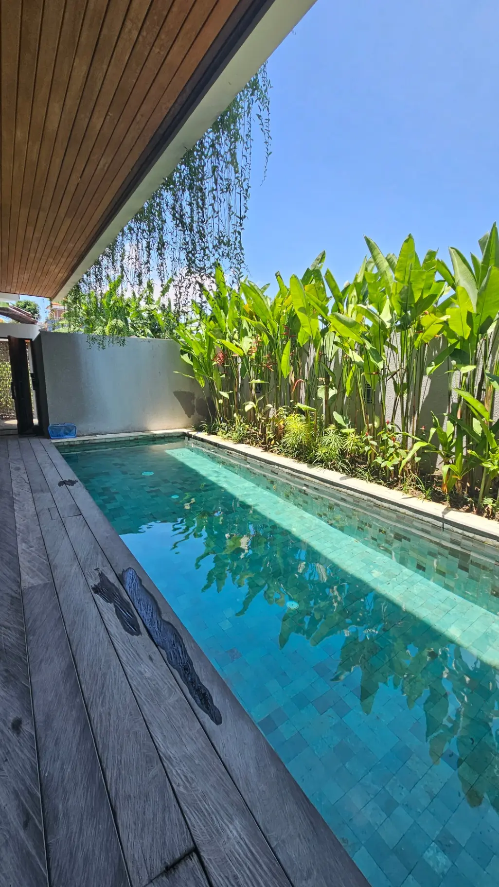 SG villas [video included in this post] — image 3